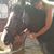 Monica Welzel Peters's profile image