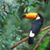 Renee Smetana's profile image