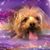 Ellen Trdina's profile image