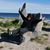 Stacey Greenhill's profile image