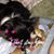 Sherry Kiet's profile image