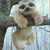 Bunny Smallwood's profile image