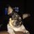 Anthony Cimino's profile image