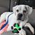 Anna Franco Cox's profile image