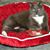 Linda Olson Flavin's profile image