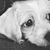 Alicia Nicole Hickman's profile image