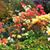 Linda Winter's profile image