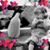 Lyn Yanez's profile image