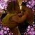 Amanda Savin-Damet's profile image