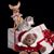 Doris Macomson's profile image