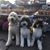 Amy Jo Soeken's profile image