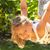 Robin Ruffner's profile image