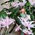 Beth Taylor Johnston's profile image
