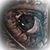 Chris Hubrich's profile image