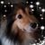 Carol T Weston's profile image