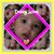 Anna Reyes's profile image