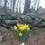 Cathy Kupka Spillman's profile image
