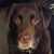Verica Treadway's profile image