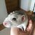 Jeff C.'s profile image