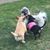 Donna Jenks-Brown's profile image