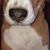 Mark Beales's profile image