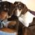 Donna Warfel's profile image
