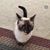 Lisa Stiner's profile image