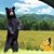 Jen Shafer's profile image