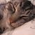 Tigerlily Smith's profile image