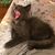 Judy Flynn's profile image