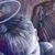 Mario Ruelas Ibarra's profile image