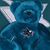 Susan Davis's profile image