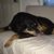 Clelia Vasquez's profile image