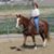 Carmen Law's profile image