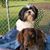 Sylvia Dobbs's profile image
