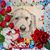 Sharon Gibbar Rahn's profile image