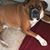 Haley Nichole Chervenka's profile image