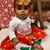 Faith Starr Nyambura's profile image