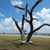 Kathy Paxton's profile image