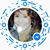Sharon Wittenstein's profile image