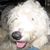 Sharon M. Poole's profile image