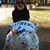 Irene Pinho's profile image