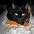 Sonja Singleton Gilmore Phipps's profile image