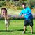 Andrew Bayliss's profile image