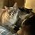 Tina Ohman's profile image