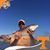 Joey Hodge's profile image