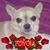 Jane Williams's profile image