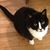 Linda N. Edelstein's profile image