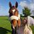 Losie Jane's profile image