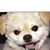 Diane Doudna's profile image